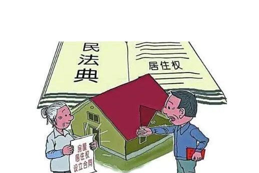 有效代书遗嘱继承经典案例？