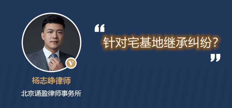 针对宅基地继承纠纷？