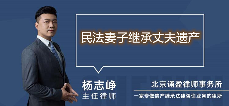 民法妻子继承丈夫遗产